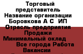 Торговый представитель › Название организации ­ Боровкова А.С, ИП › Отрасль предприятия ­ Продажи › Минимальный оклад ­ 28 000 - Все города Работа » Вакансии   . Белгородская обл.